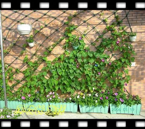 ѫ�¾տ��˺�����