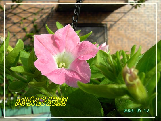 ѫ�¾տ��˺�����