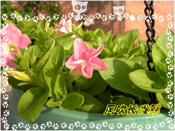 ѫ�¾տ��˺�����