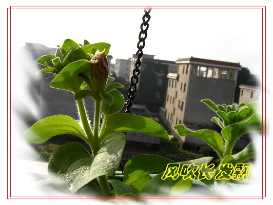 ѫ�¾տ��˺�����