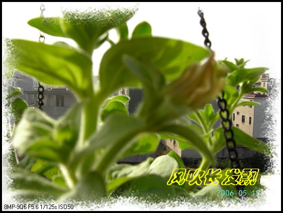 ѫ�¾տ��˺�����