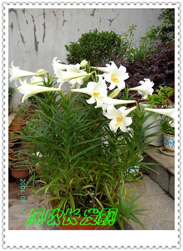 ѫ�¾տ��˺�����