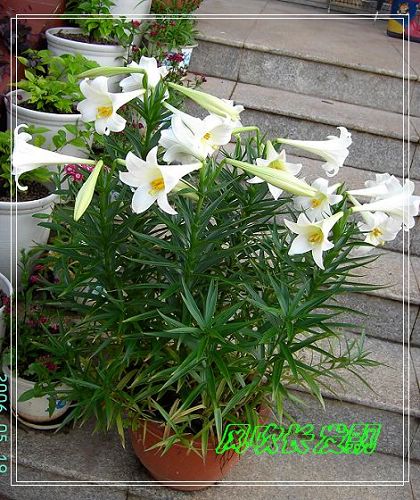 ѫ�¾տ��˺�����