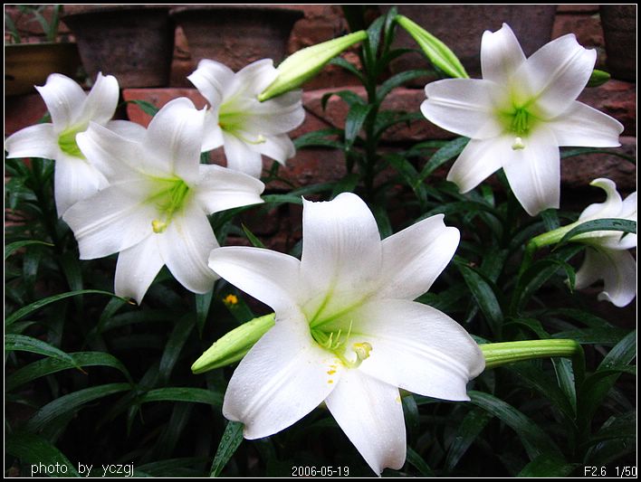 ����İٺϣ�~�����ڰٺϿ��ˣ�