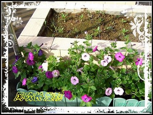 ѫ�¾տ��˺�����