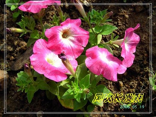 ѫ�¾տ��˺�����