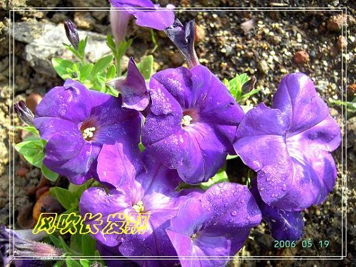 ѫ�¾տ��˺�����