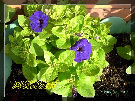 ѫ�¾տ��˺�����