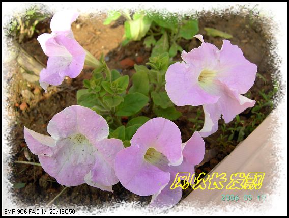 ѫ�¾տ��˺�����