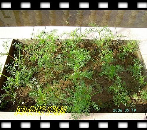 ѫ�¾տ��˺�����