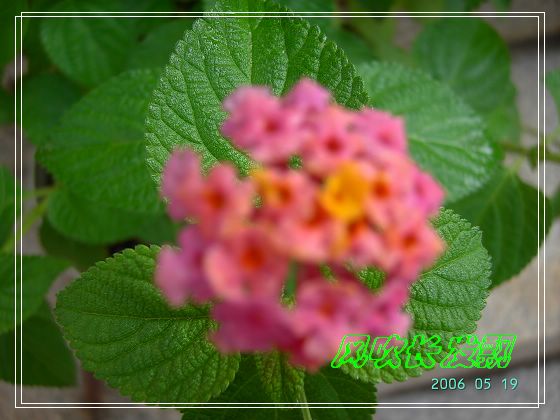 ѫ�¾տ��˺�����