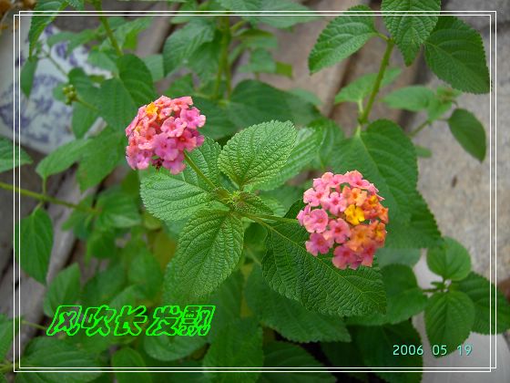 ѫ�¾տ��˺�����