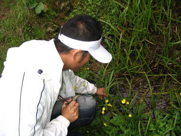 �л�����Ƭ