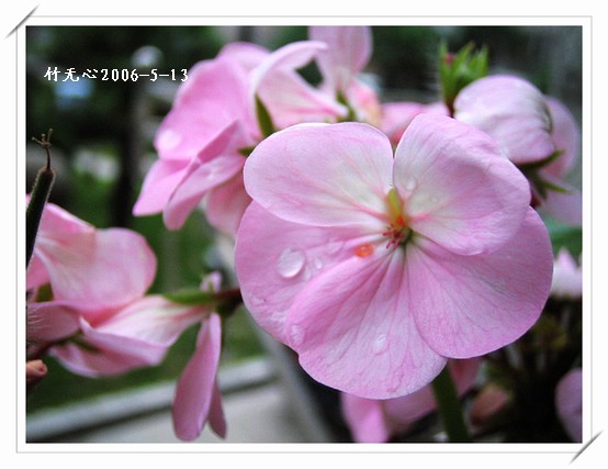 ���������ÿ���