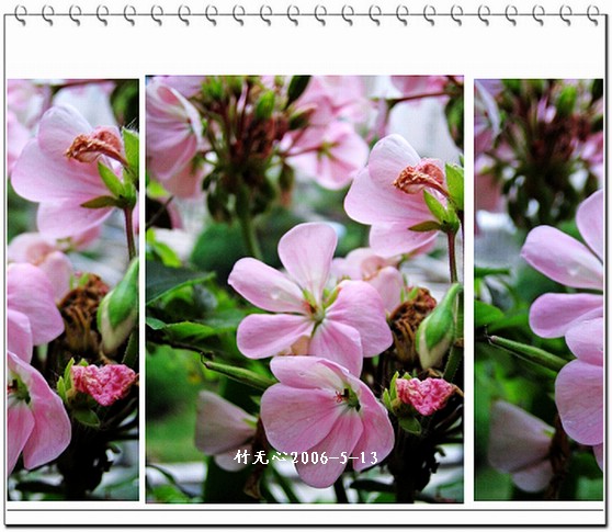 ���������ÿ���