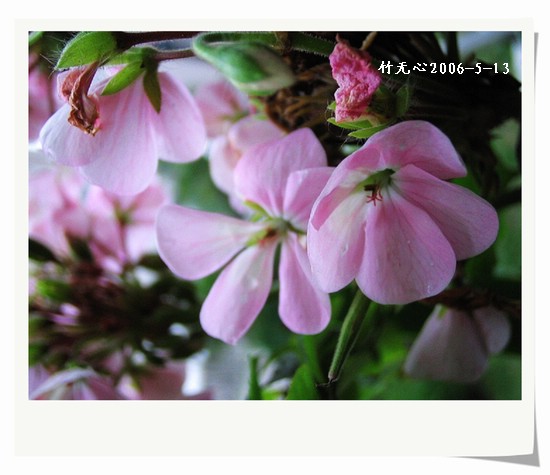 ���������ÿ���