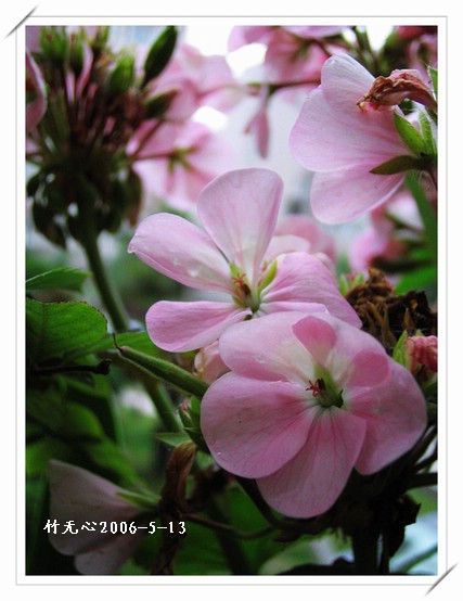 ���������ÿ���