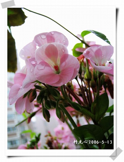 ���������ÿ���