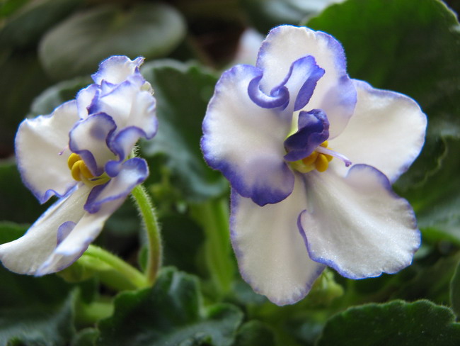 ���¼ҵ�������