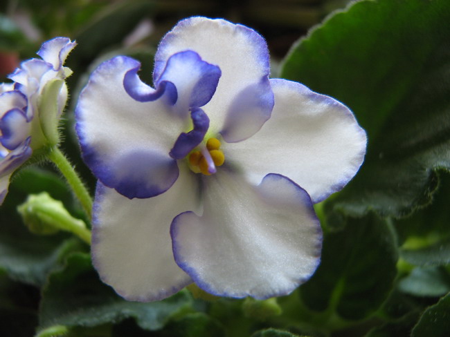 ���¼ҵ�������