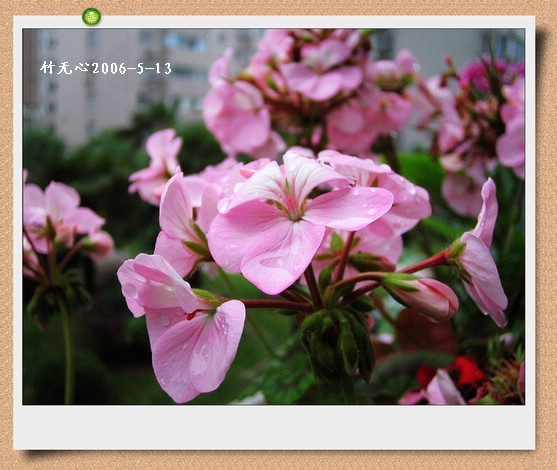 ���������ÿ���