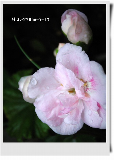 ���������ÿ���