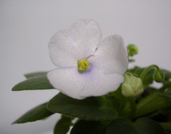 [��ˮ]��������ˮ��