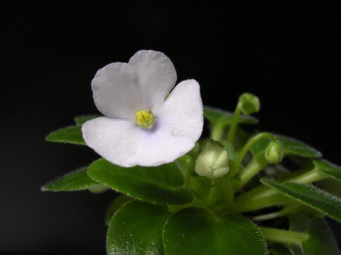 [��ˮ]��������ˮ��