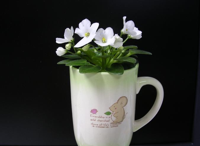 [��ˮ]��������ˮ��