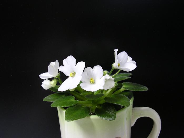 [��ˮ]��������ˮ��