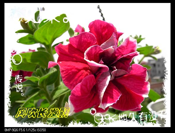 ѫ�¾տ��˺���������21��õ������P4