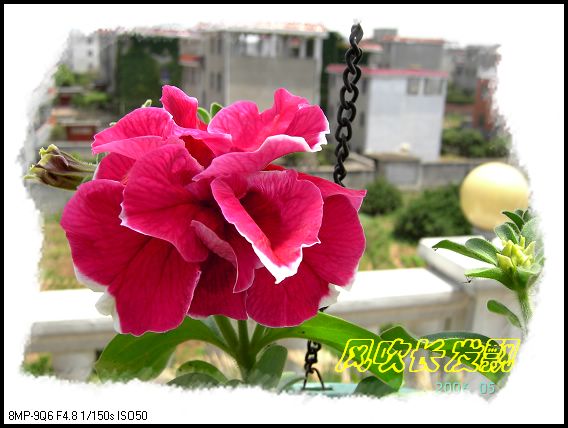 ѫ�¾տ��˺���������21��õ������P4