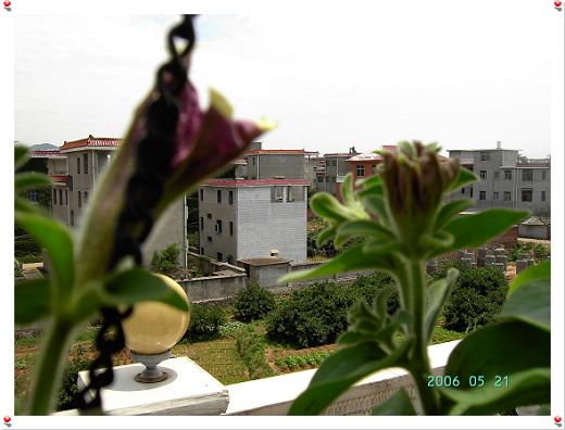 ѫ�¾տ��˺���������21��õ������P4