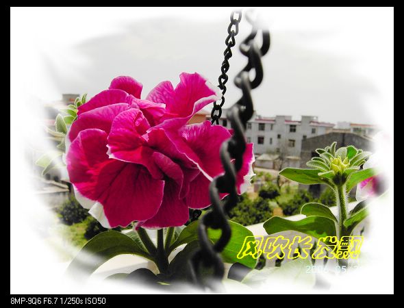 ѫ�¾տ��˺���������21��õ������P4