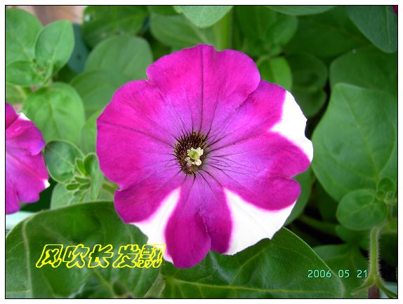 ѫ�¾տ��˺���������21��õ������P4