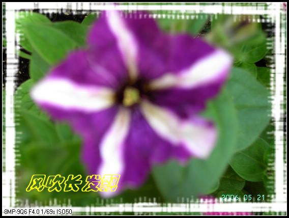 ѫ�¾տ��˺���������21��õ������P4