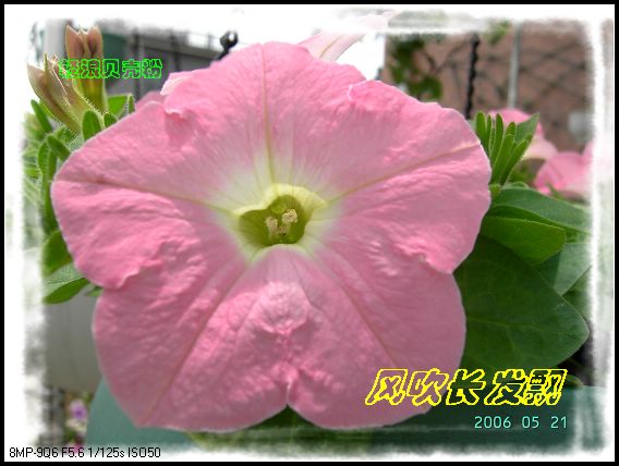 ѫ�¾տ��˺���������21��õ������P4