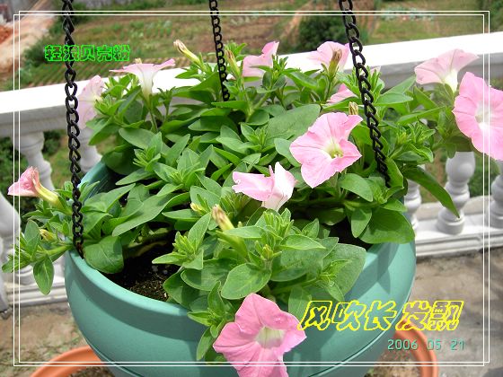 ѫ�¾տ��˺���������21��õ������P4