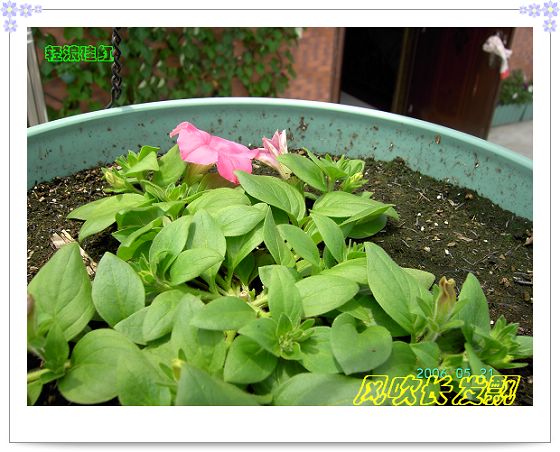 ѫ�¾տ��˺���������21��õ������P4