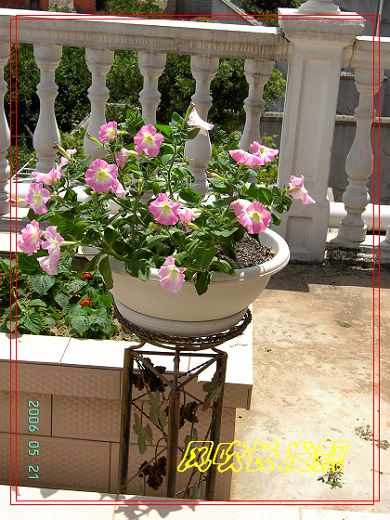 ѫ�¾տ��˺���������21��õ������P4