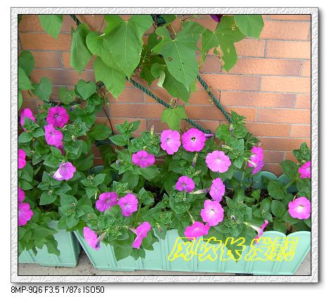 ѫ�¾տ��˺���������21��õ������P4