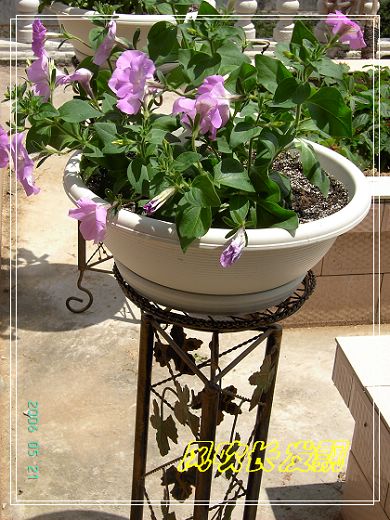 ѫ�¾տ��˺���������21��õ������P4