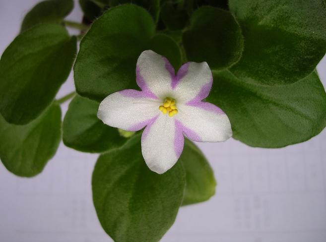 [��ˮ]��������ˮ��