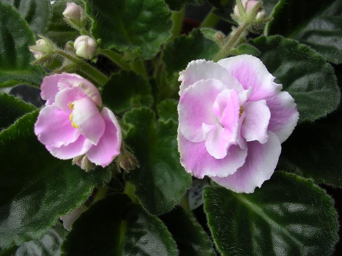 [��ˮ]��������ˮ��