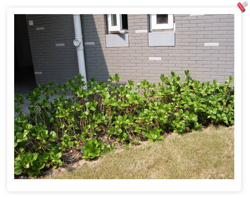 С˧��Ĵ�Ů��