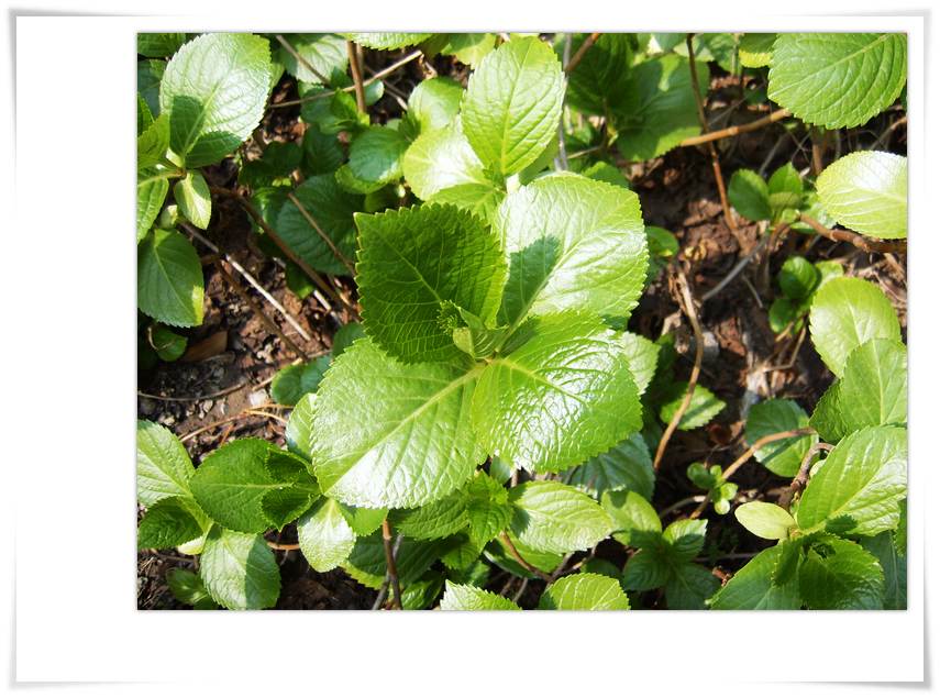 С˧��Ĵ�Ů��