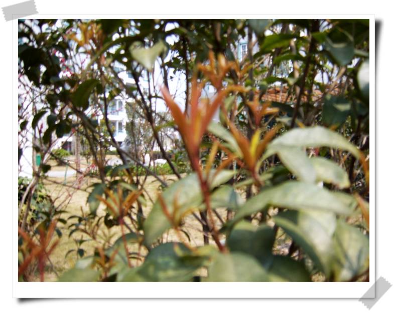 С˧��Ĵ�Ů��