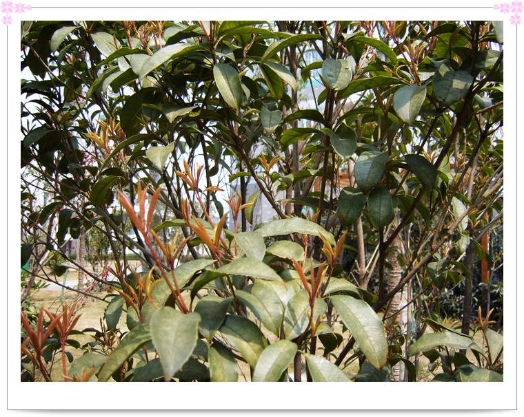 С˧��Ĵ�Ů��