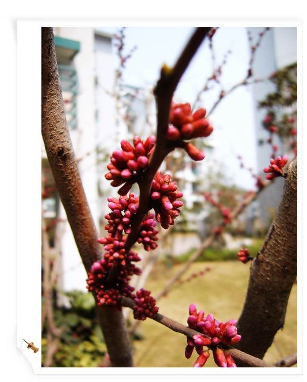 С˧��Ĵ�Ů��