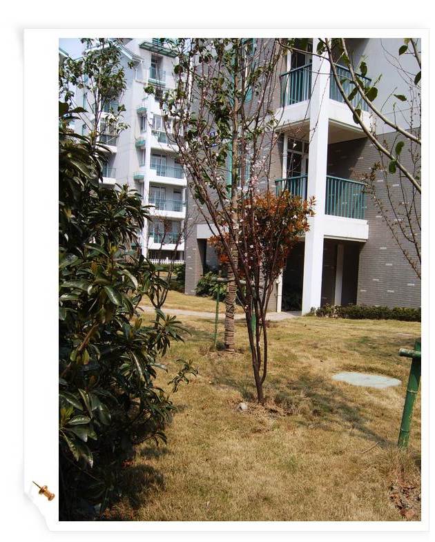 С˧��Ĵ�Ů��